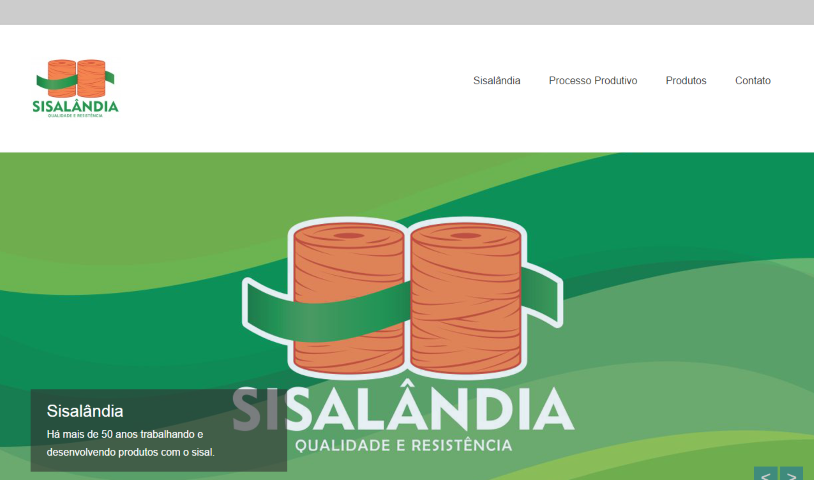 screenshot-www.sisalandia.com.br 2016-08-10 20-01-09 (Small)