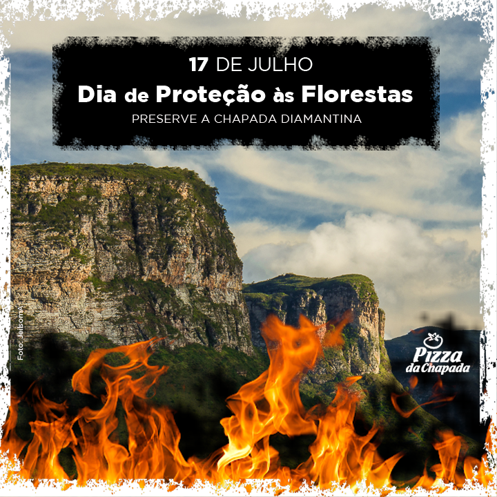 CARD_PC_floresta1