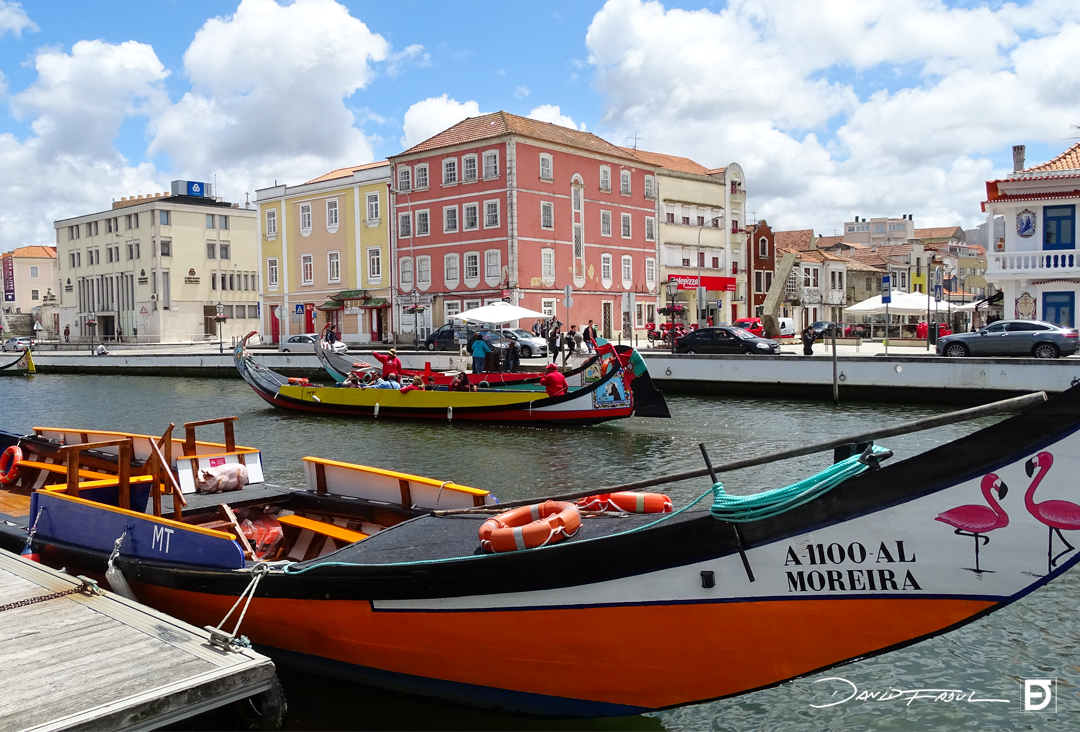 aveiro2_df